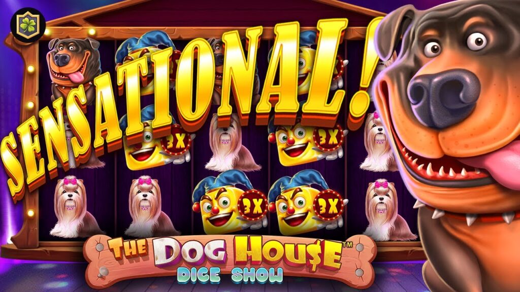 The Dog House Dice Show